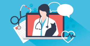 Veterinary Telemedicine